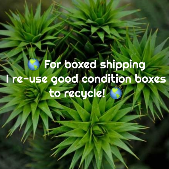 Hello! About me & My closet - Picture 12 of 12